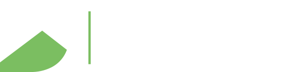 DS|Color White Logo