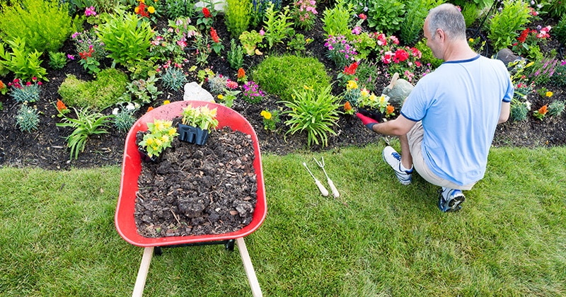 Gardener working on landscaping a garden