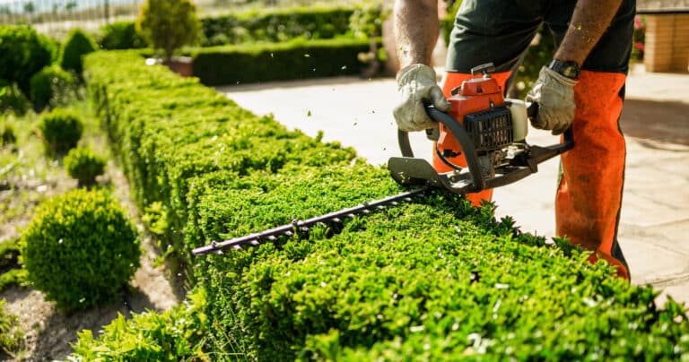 Landscaper using an edger on bushes