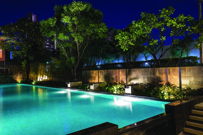 New Year, New Landscape Design (2020 Trends)