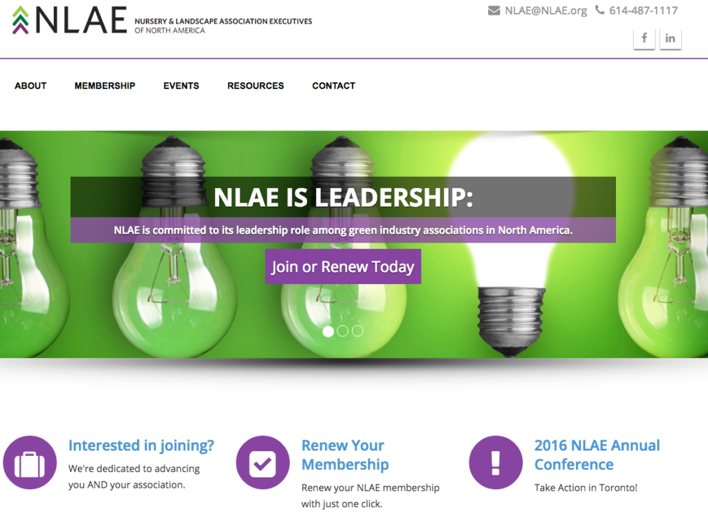 NLAE website