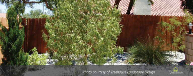 5 Sustainable Solutions for Drought-Tolerant Landscaping